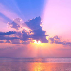 Meet your Posher, Amna